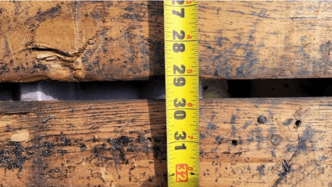 1/8-inch Rule